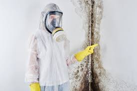 Best Commercial Mold Inspection  in Mackinac Island, MI